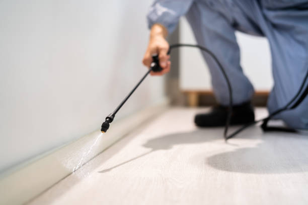Professional exterminator conducting IPM assessment in Duchesne