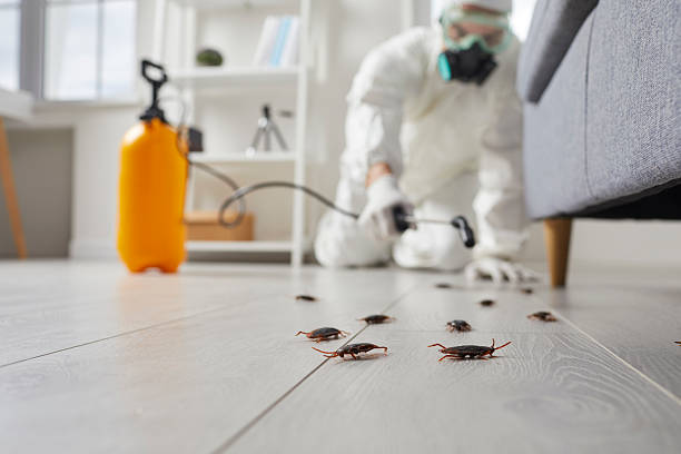 Post-Treatment Bed Bug Interceptor Monitoring in Duchesne