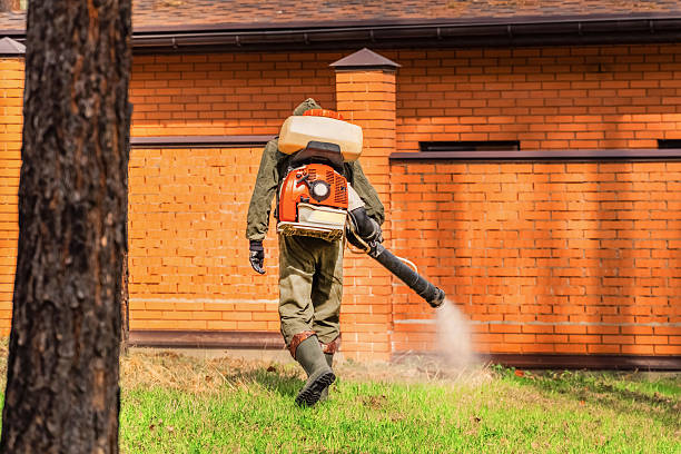 Bed Bug Clearance Verification and Documentation in Duchesne